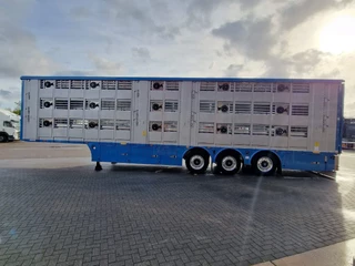 Pezzaioli New 3 stock livestock trailer 95.4M2 - Water & Ventilation - Lifting floors - Lifting roof - Lift axle