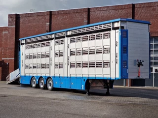Pezzaioli New 3 stock livestock trailer 95.4M2 - Water & Ventilation - Lifting floors - Lifting roof - Lift axle