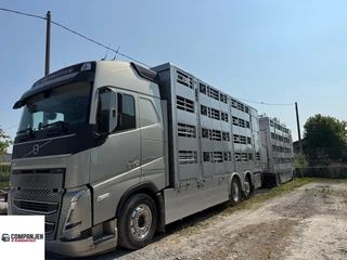Volvo FH 13.500 FH5 500 4 Deks Pezzaioli compleet