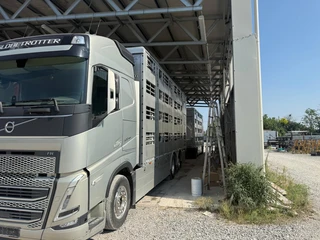 Volvo FH 13.500 FH5 500 4 Deks Pezzaioli compleet