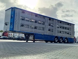Pezzaioli New 3 stock livestock trailer 95.4M2 - Water & Ventilation - Lifting floors - Lifting roof - Lift axle