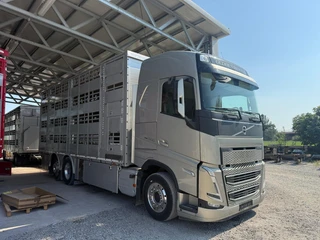 Volvo FH 13.500 FH5 500 4 Deks Pezzaioli compleet